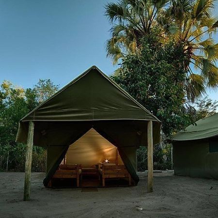 Motsebe Backpackers Hotel Maun Bagian luar foto