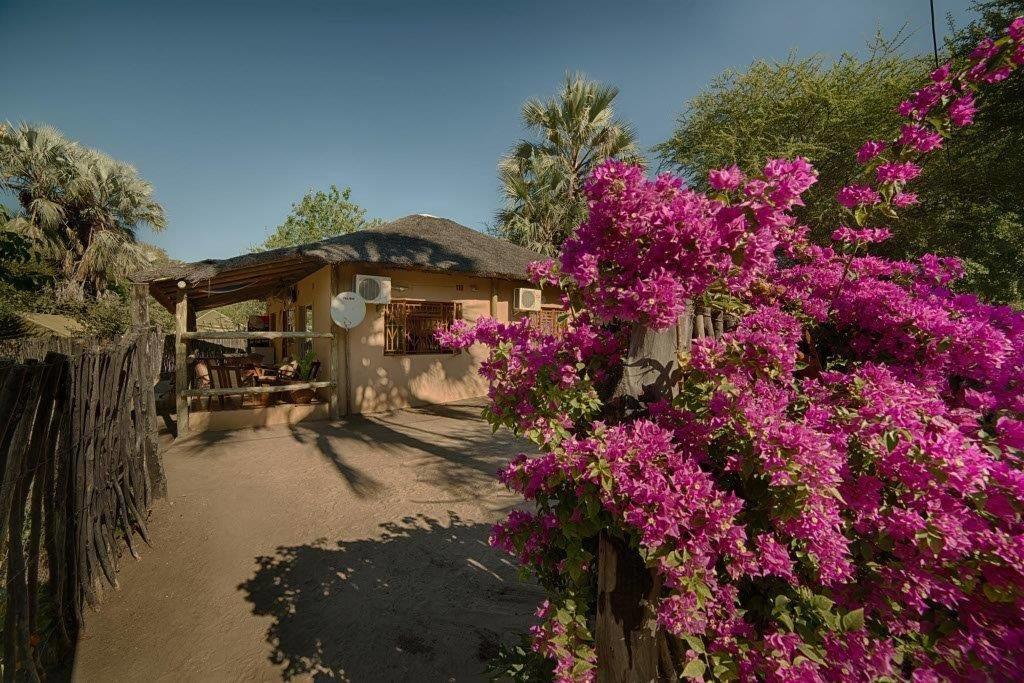 Motsebe Backpackers Hotel Maun Bagian luar foto