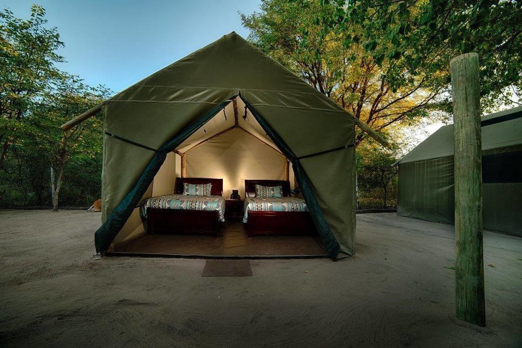 Motsebe Backpackers Hotel Maun Bagian luar foto