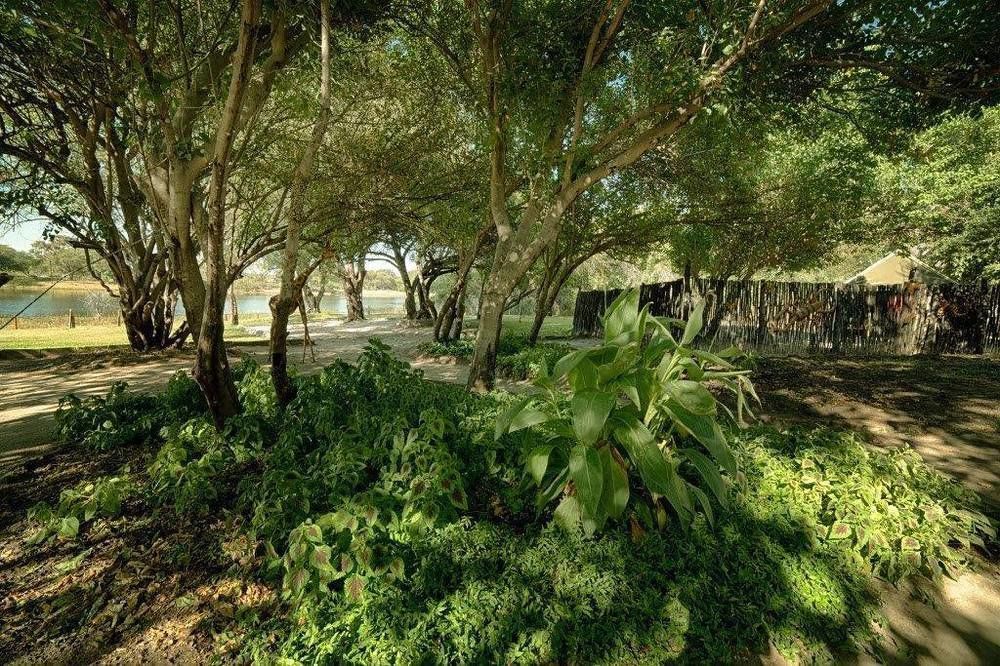 Motsebe Backpackers Hotel Maun Bagian luar foto