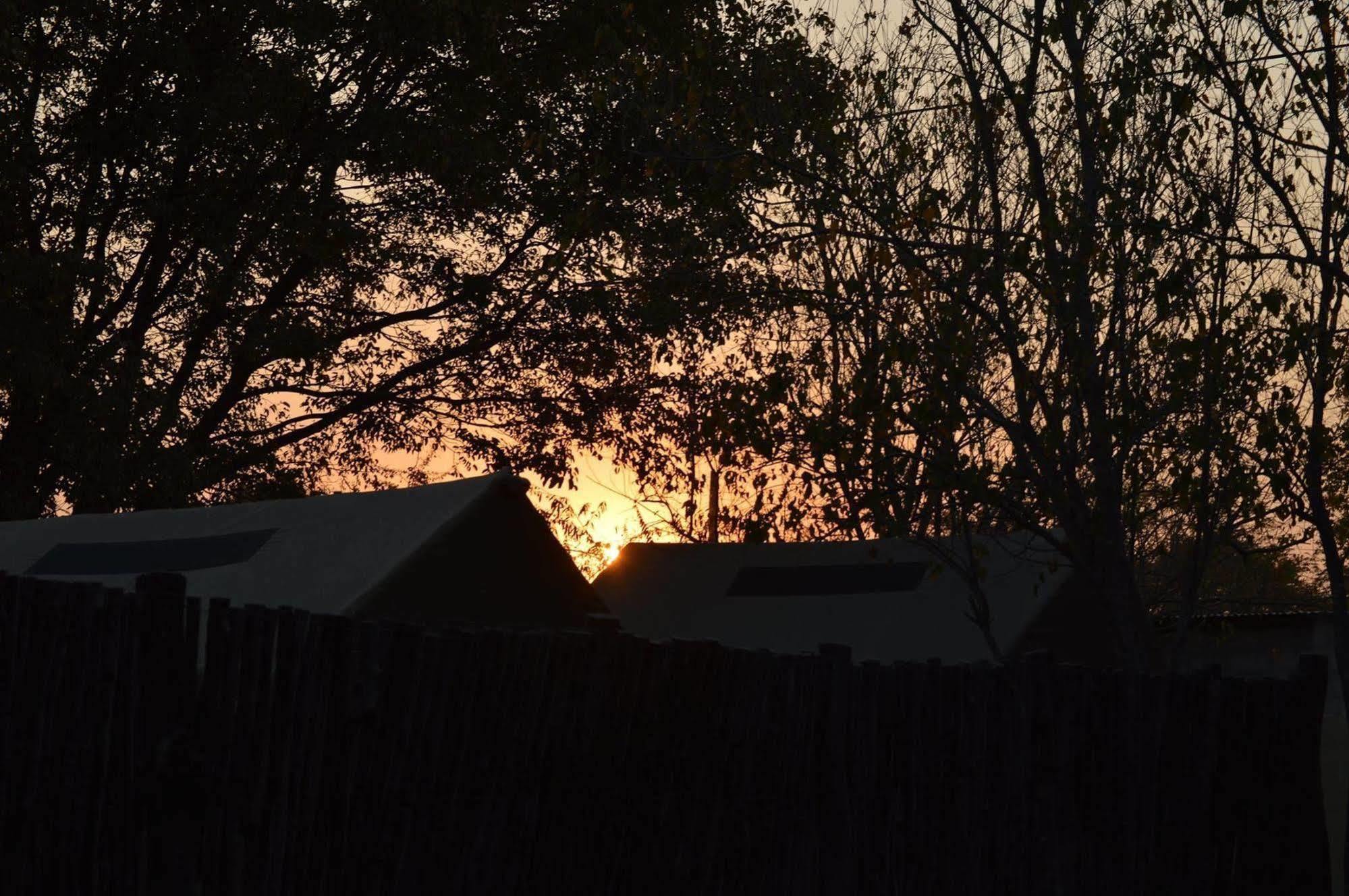 Motsebe Backpackers Hotel Maun Bagian luar foto