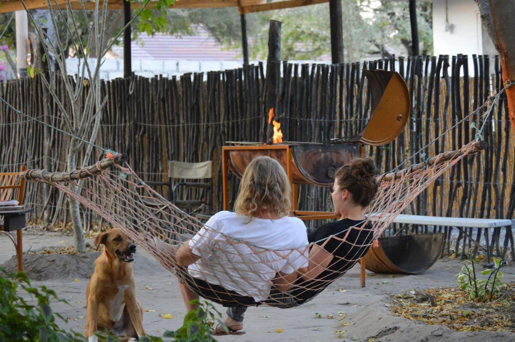 Motsebe Backpackers Hotel Maun Bagian luar foto