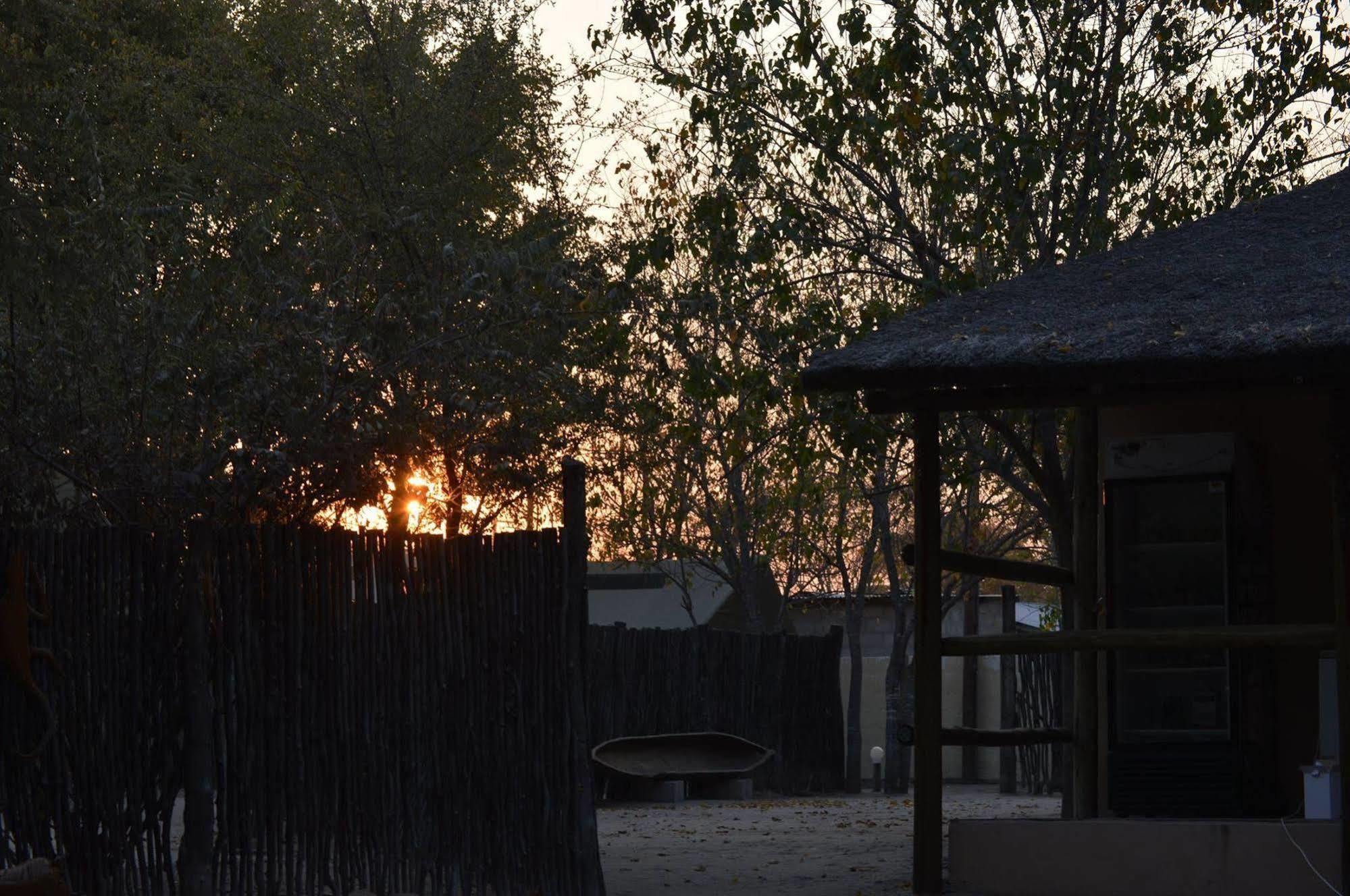 Motsebe Backpackers Hotel Maun Bagian luar foto