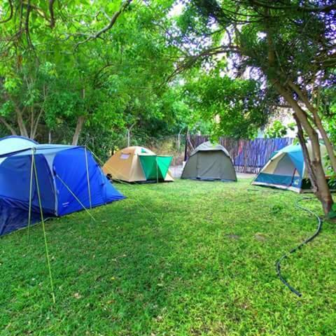 Motsebe Backpackers Hotel Maun Bagian luar foto
