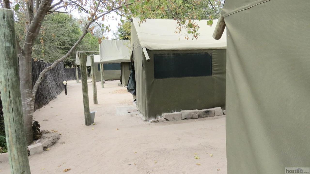 Motsebe Backpackers Hotel Maun Bagian luar foto