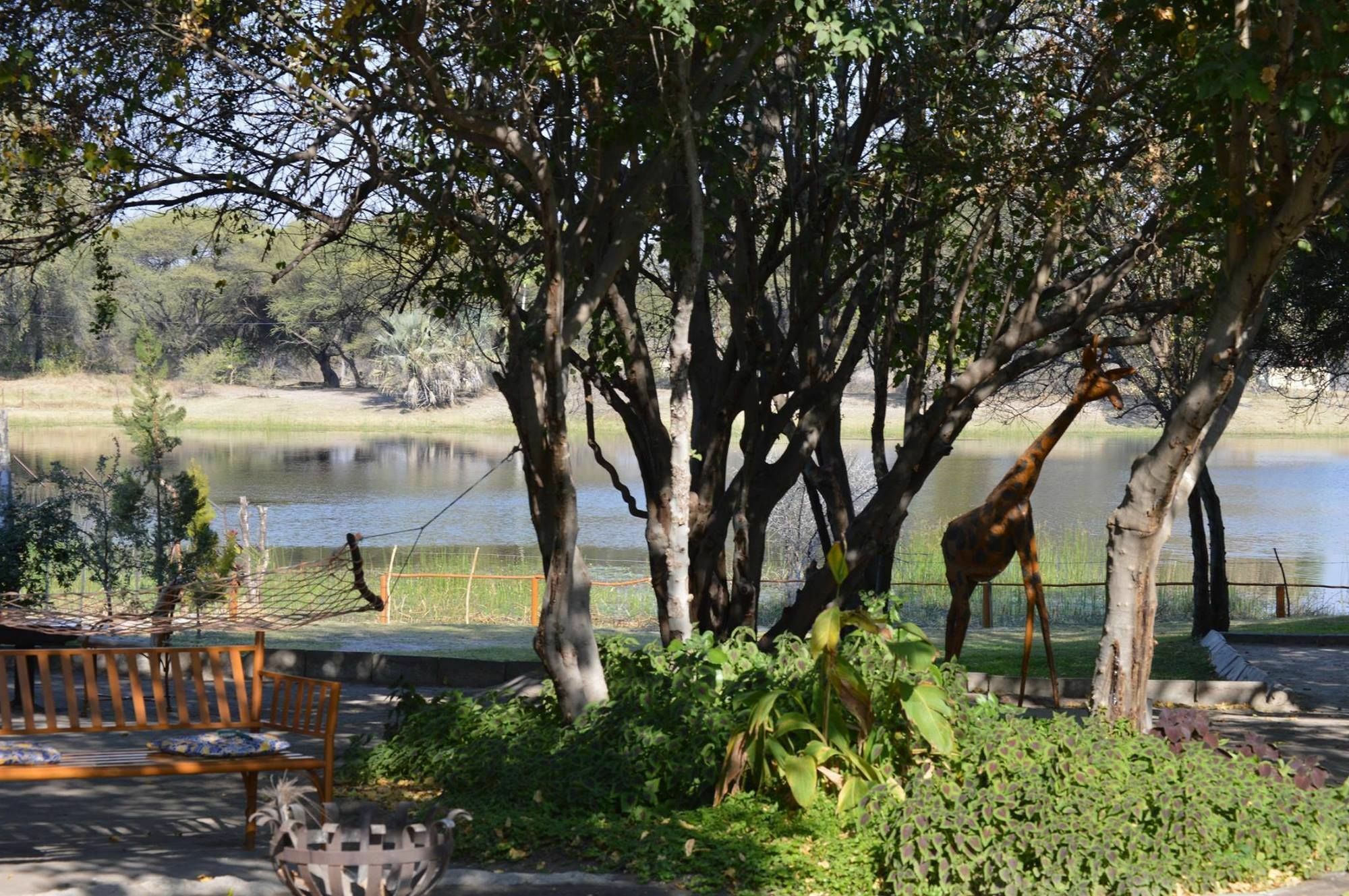 Motsebe Backpackers Hotel Maun Bagian luar foto